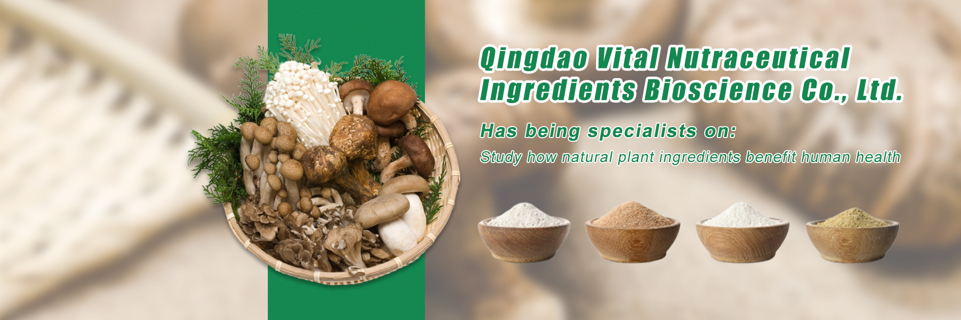 qualidade Extracto de plantas fábrica