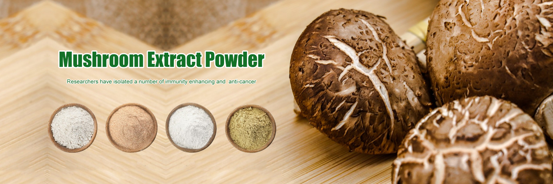 qualidade Extracto de plantas fábrica